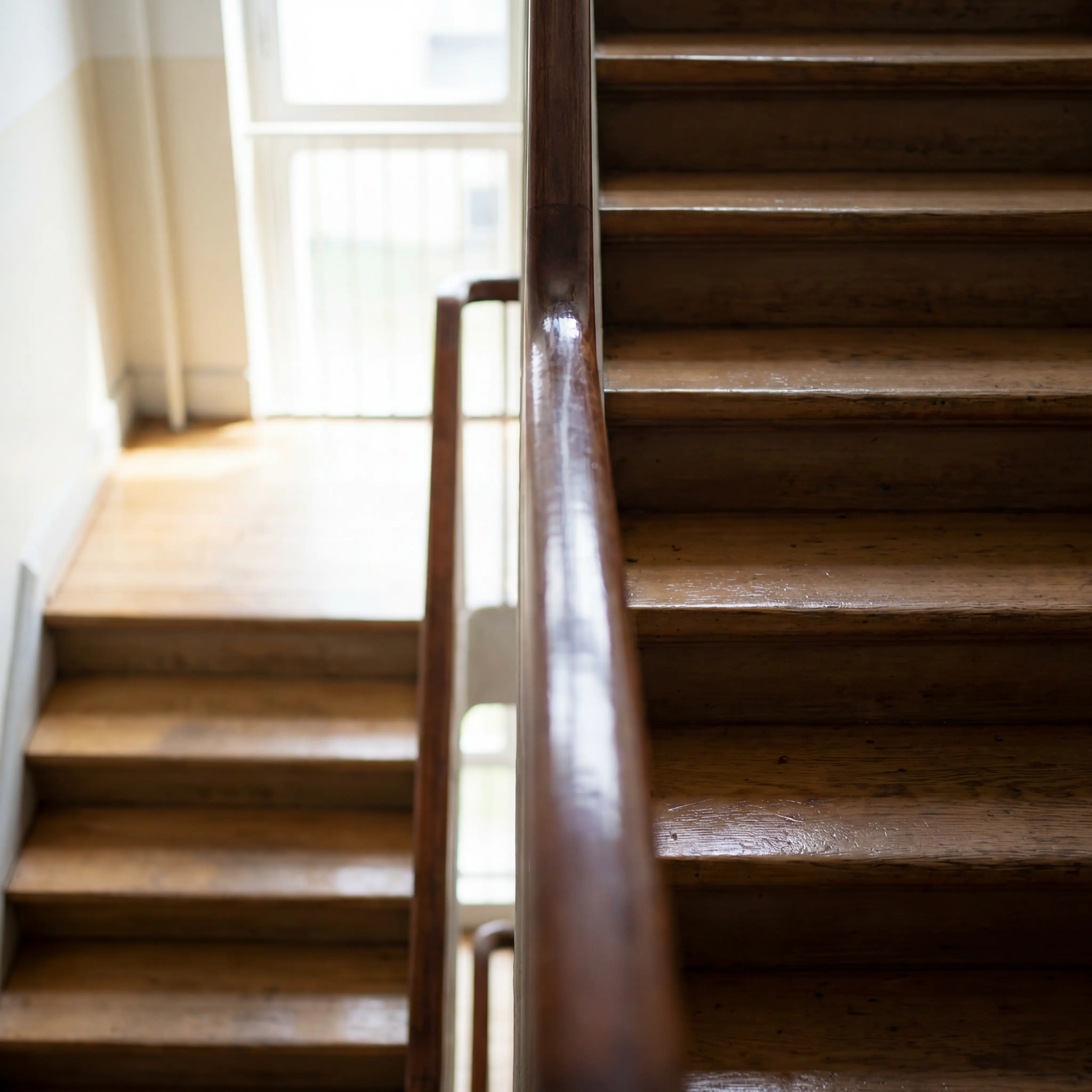 Detailaufnahme der Treppenhausreinigung